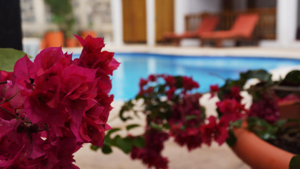 Atitlan Villas Agua Escondida ภายนอก รูปภาพ